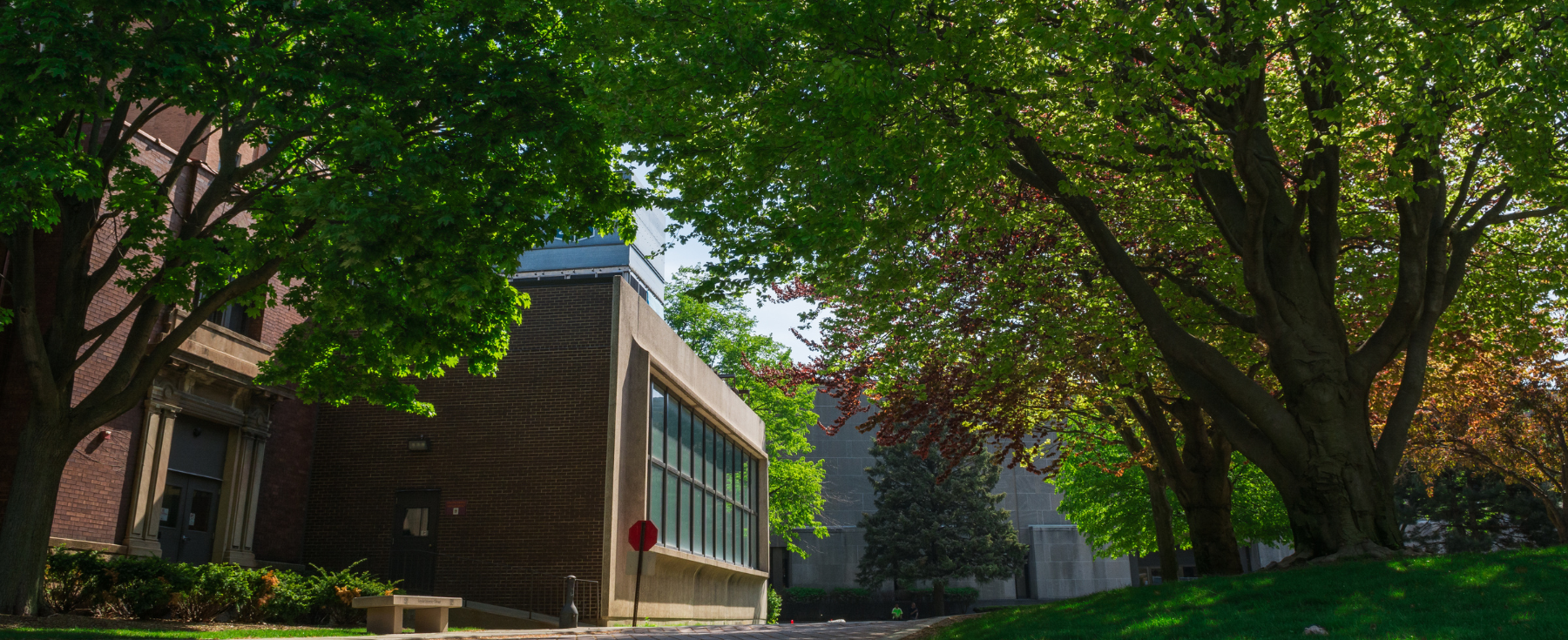 Lake Shore Campus in springtime.